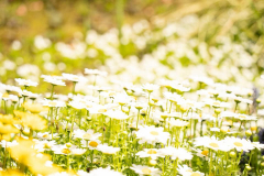 フォービック 4月も宜しくお願いします。 フォービック